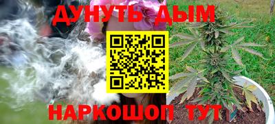 герыч Кингисепп
