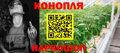 герыч Кингисепп
